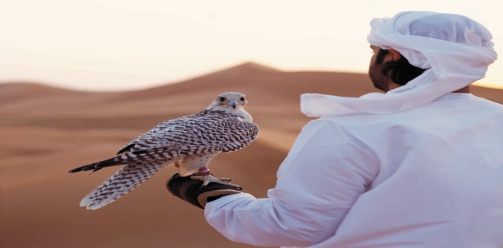 Emirati Arabi Uniti, Ras Al Khaimah - Relax in una destinazione ancora poco conosciuta